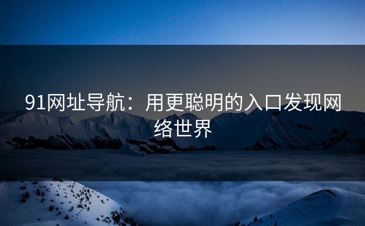 91网址导航：用更聪明的入口发现网络世界