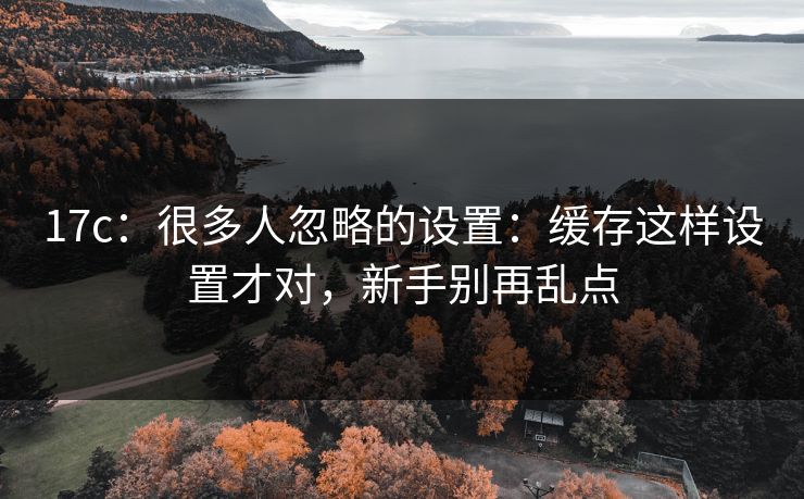 17c：很多人忽略的设置：缓存这样设置才对，新手别再乱点